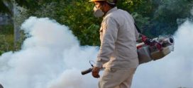 Con 329 Casos Confirmados de Dengue, PV, se Mantiene como Quinto en Incidencia, de Jalisco: SSJ