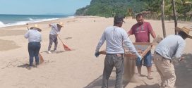 Bahía de Banderas intensifica trabajos en Playa Lo de Marcos rumbo a certificación Blue Flag