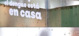 Con más de 14 Mil 500 Casos, Jalisco, es Puntero Nacional, por Número de Afectados a causa del Dengue: SSJ