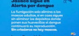 Dengue, Cobra otra Vida en Jalisco, al sumar 28 Decesos, en lo que Va de este 2024: SSJ